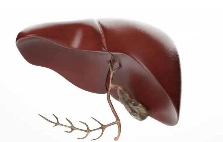 肝脏|肝内有癌,肩膀先知!提醒:不论男女,身体2处发痛,或是肝在“求救”