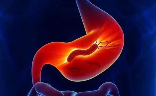 脾胃|认识人的气血之源—脾胃