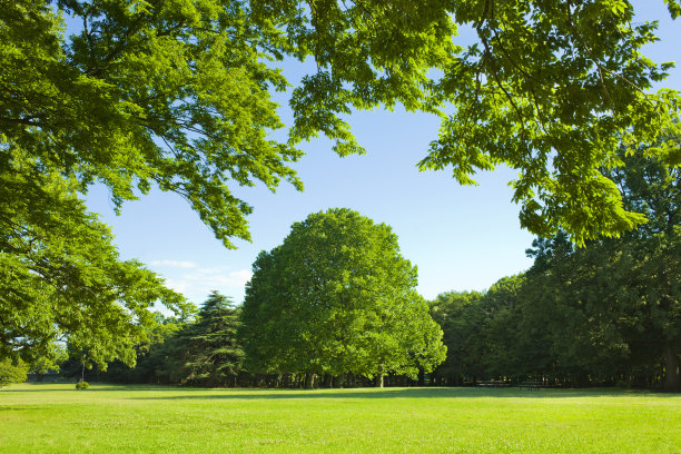 草原|中国游客在泰国住酒店，工作人员：你们真是坏到了骨子里