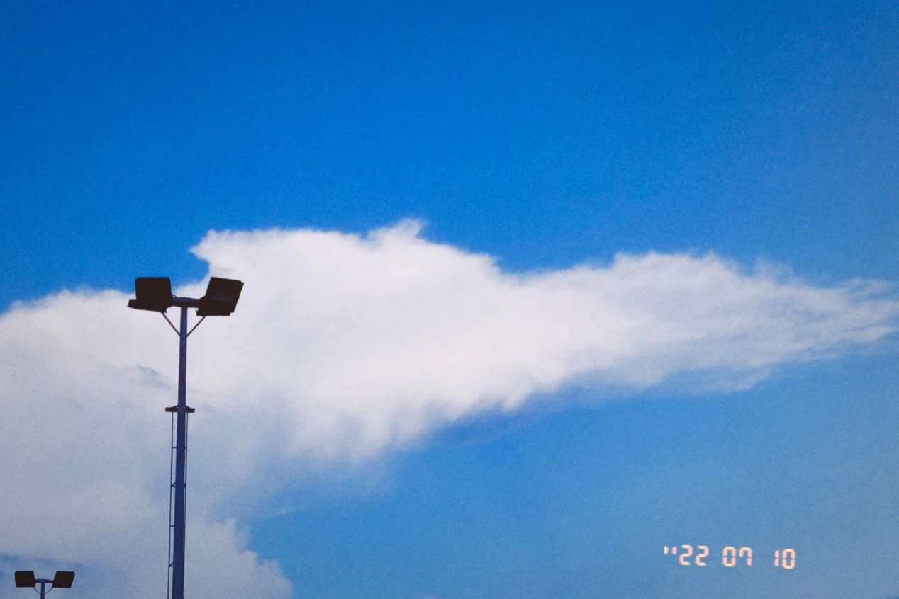 教师|我的教师之梦