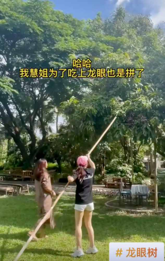 大象|49岁知名演员定居泰国，单身住豪宅与大象玩闹，穿短裤秀热辣美腿