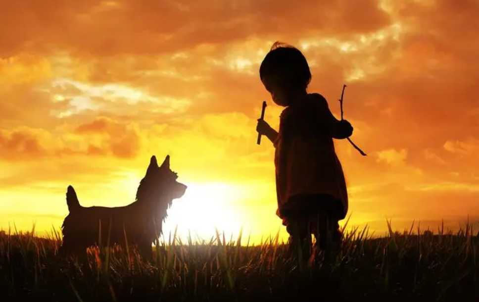 隔离|穷游的意义在于，尽管没有太多的钱，也可以有勇气出发