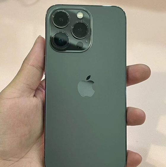 C++|粉丝买苍岭绿iPhone13Pro翻车，网友：激活日期、内存都不对！
