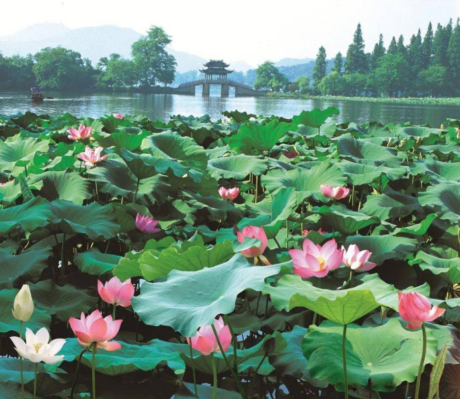 |杭州西湖最值得玩的是什么,你知道吗?