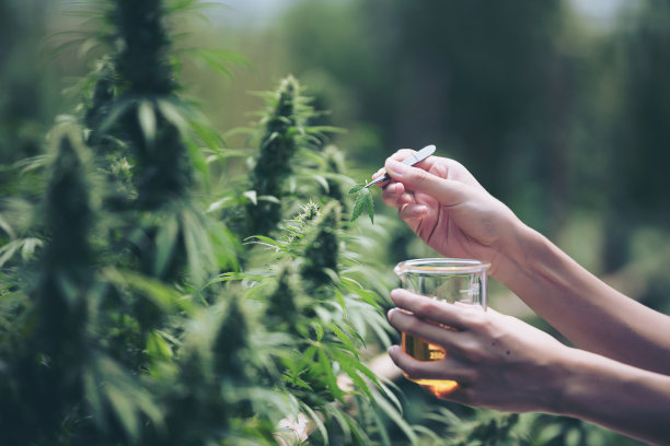 所有生物都是聚合体吗?