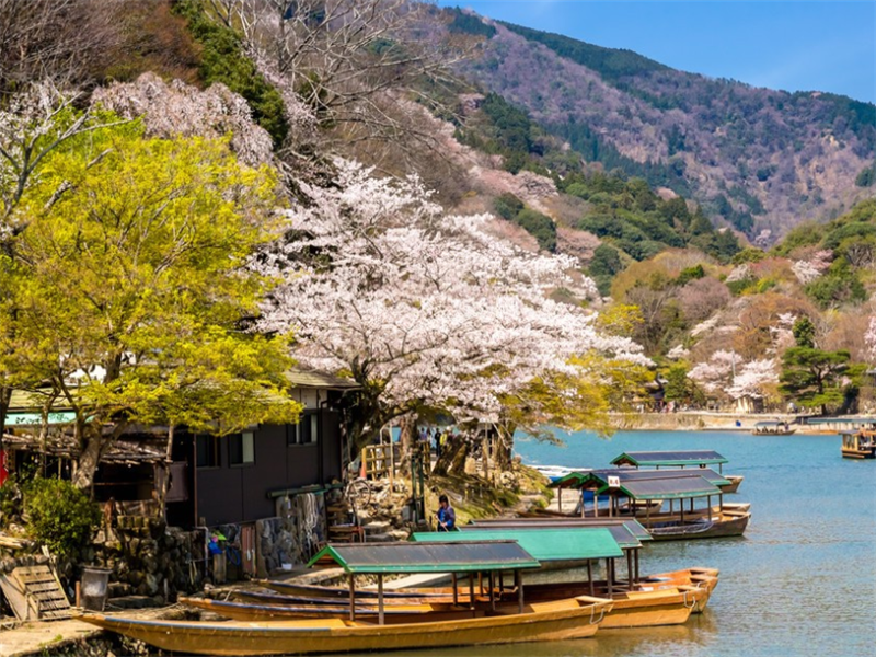 京都|记载日本之行，游览京都岚山