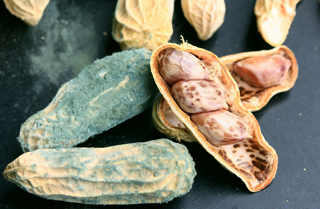 肝脏|50岁男子长期手抖,确诊甲状腺癌,医生:糊涂!这1物怎能天天吃