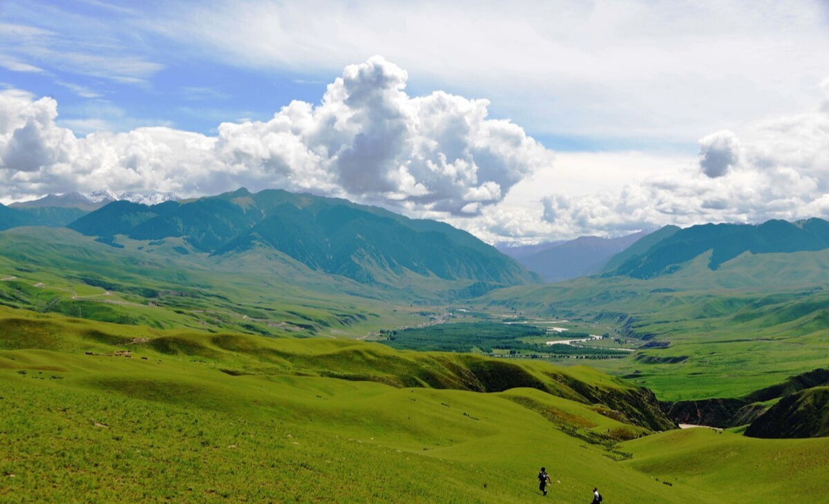 辛夷坞|辛夷坞《应许之日》：终有一天等到你