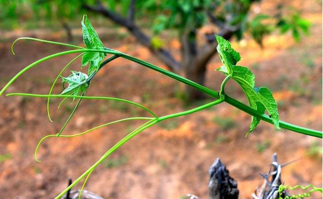 鼻炎|经常鼻塞流涕是鼻炎吗？教你4窍门，鼻塞自动打通，鼻炎悄悄变好