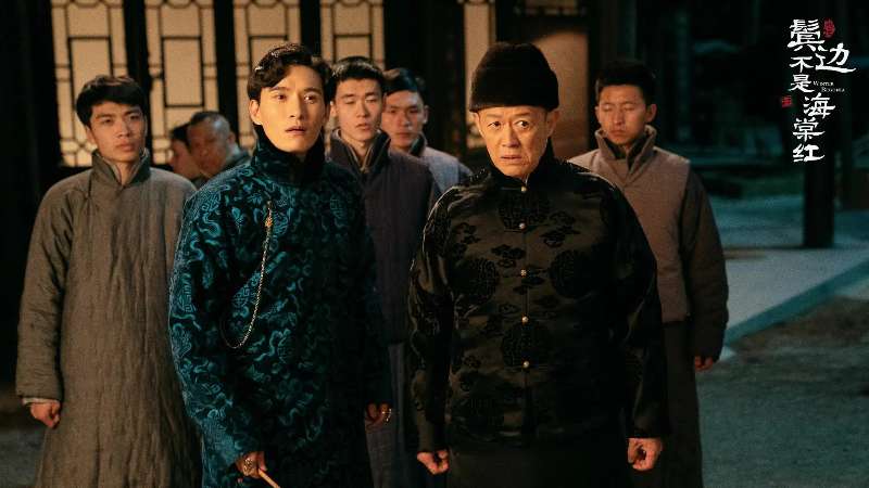 于正|《鬓边不是海棠红》是于正改编小说改编的最成功的一部剧集！