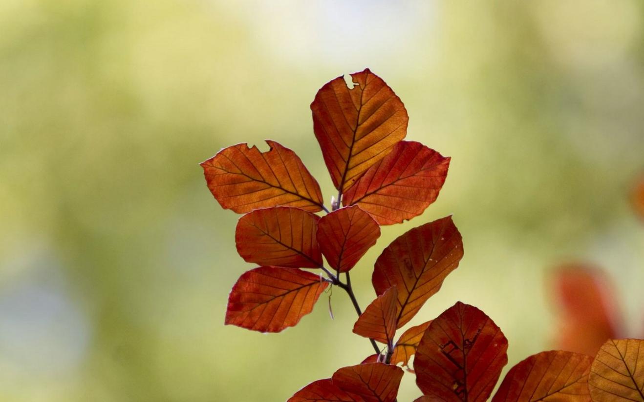 |在职场，你的圈子重不重要？