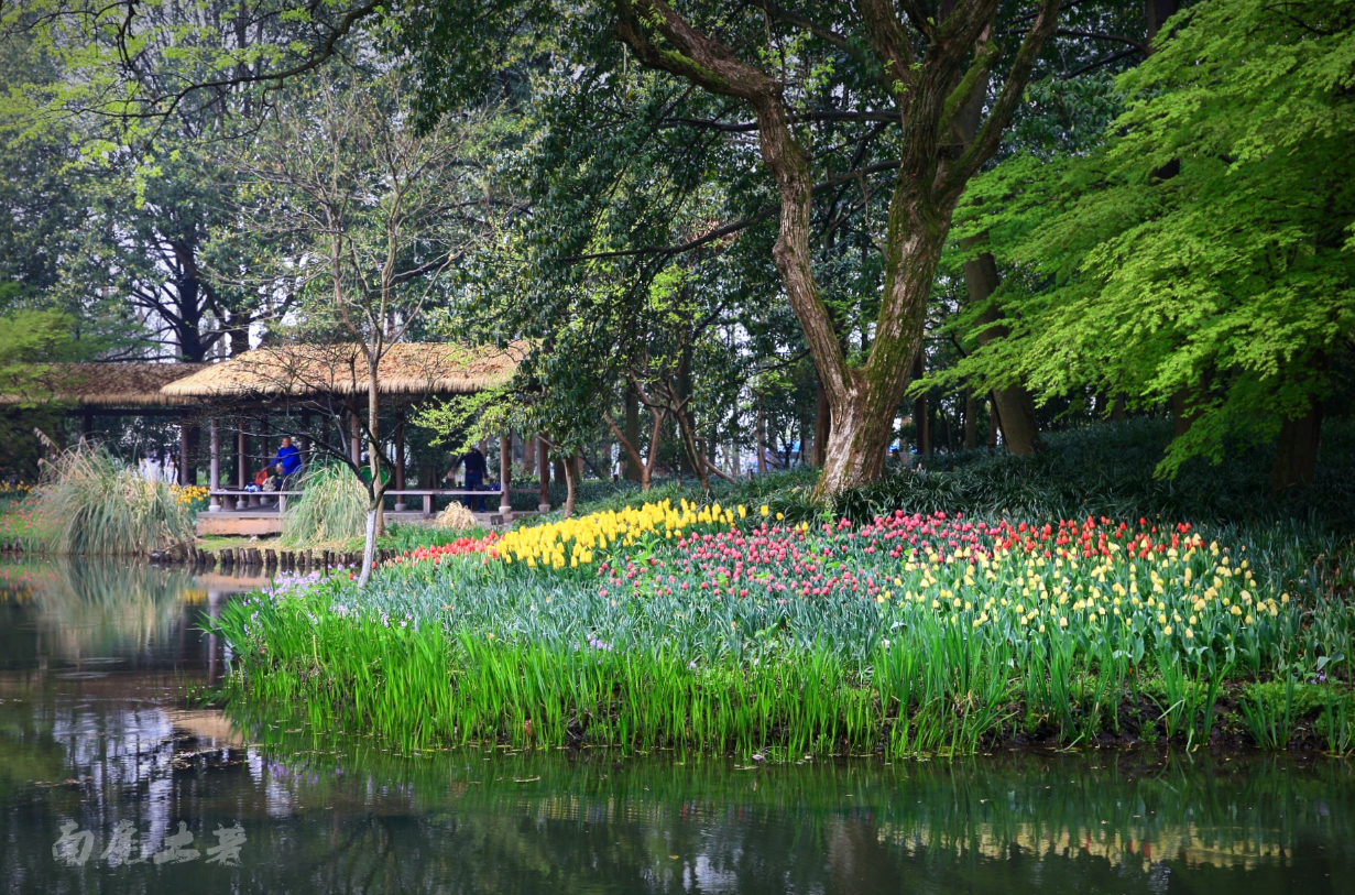 |杭州西湖最值得玩的是什么,你知道吗?