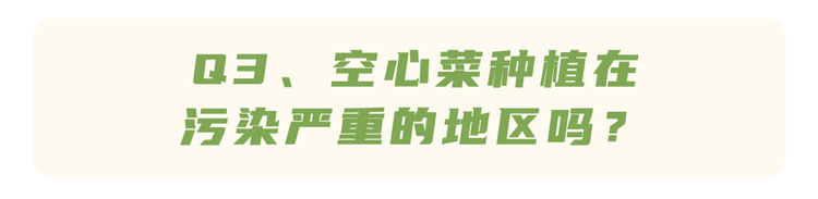 高血压|空心菜是“万毒之王”,重金属超标还致癌?2个实验告诉你答案