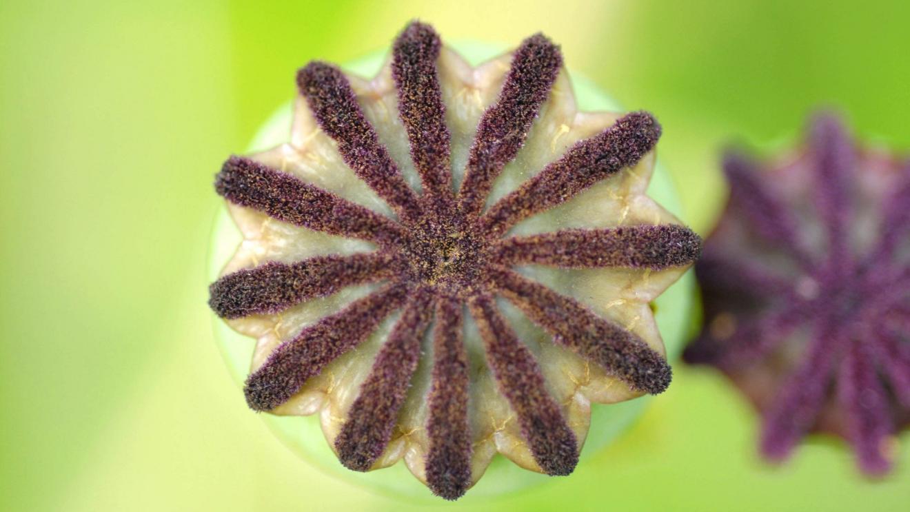 |女性在职场成功的几个关键因素