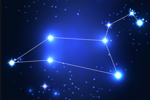 狮子座|勇于承担责任的狮子座，具有不服输精神，常是团队中的灵魂人物