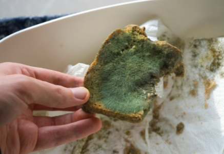 肝脏|“伤肝”大户被揪出，不是韭菜，70岁肝科院士：不想肝脏退休，少吃为妙