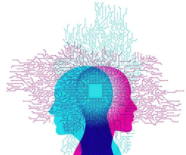 大脑是如何处理视觉区域传回来的信息的?