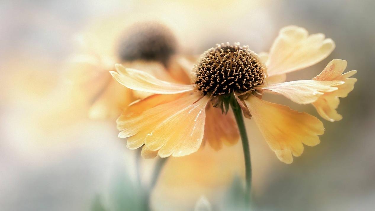 求职|本科毕业4个月换了4份工作，她问题出在了哪儿？