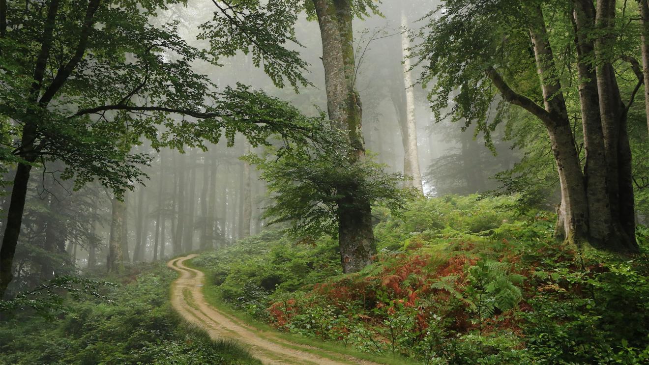 |职场上,有这两种人最容易被别人疏远,看看你是否属于以下两种人