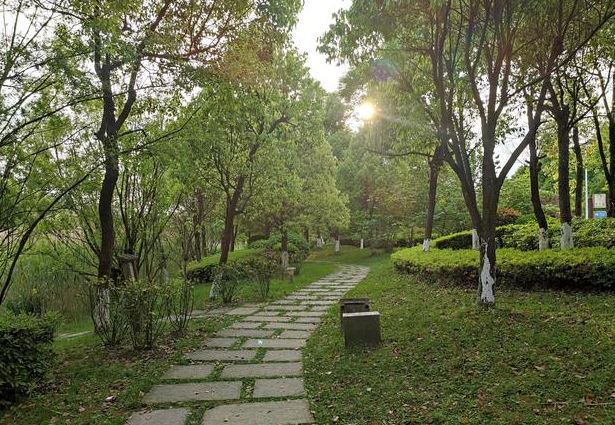 广州市|漫步国内最大城市公园，感受贵阳会客厅观山湖公园的魅力