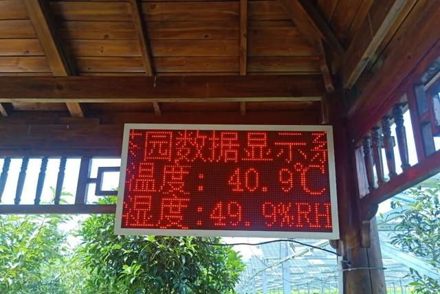 热化沥青!南方大量批发40度,三伏天该咋办?别怕,梅雨或来救场!