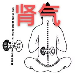 医生|肾虚到底是哪虚？肾精亏、肾气亏、肾阴虚、肾阳虚？一文教你辨明