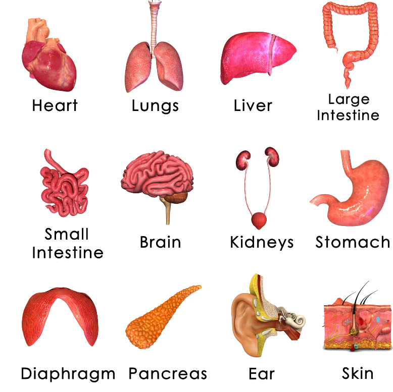 肿瘤|脾虚的人，身体常有4个变化，提示你养脾