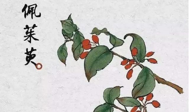 重阳节|古诗词里的重阳节