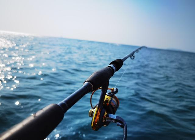 |放生大海的鱼,为什么要在鱼肚子上捅一个洞?