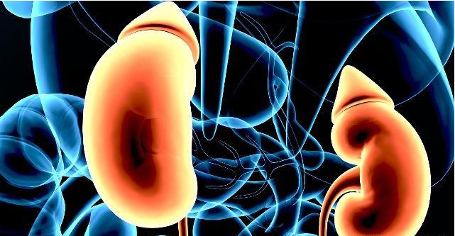 水果|肾不好的人,其实瞒不住!7个表现早就暴露了