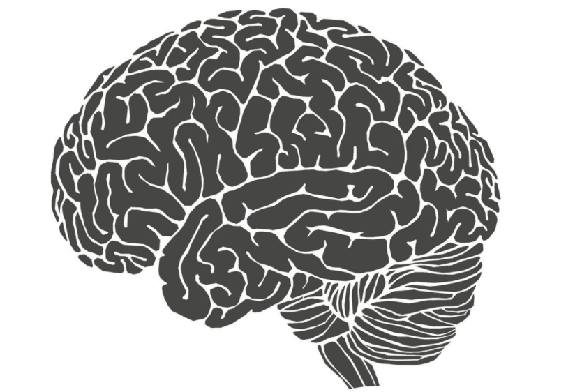 人的大脑和多大的电脑存储空间一样呢？结果超乎你想象！