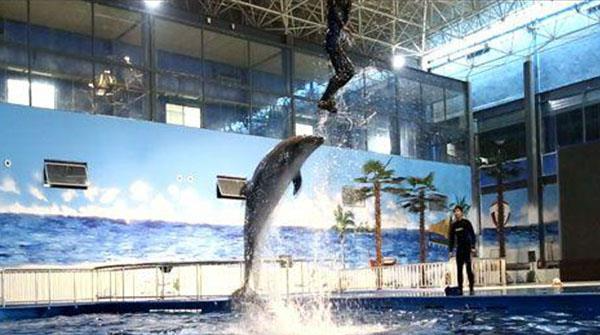 开封|开封适合情侣玩的地方有哪些?开封情侣十大必去之地。