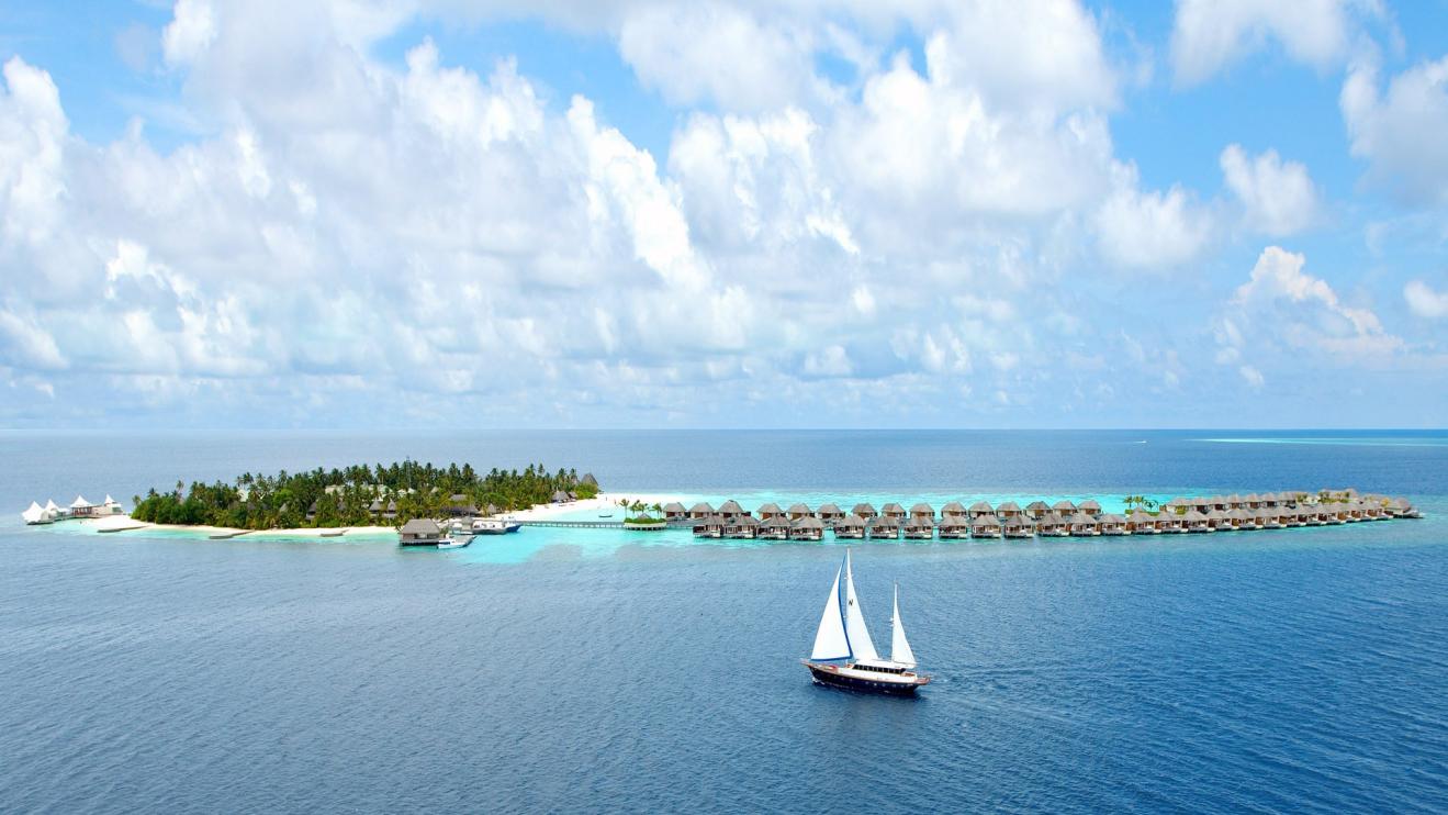 宋佳|领导与下属的冲突，如何处理？