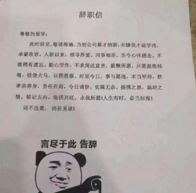 软件|“公司没有寒暑假”,00后毕业生辞职信走红,理由一个比一个任性