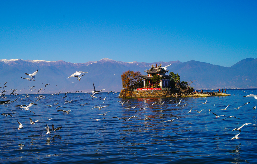 |旅游可以让你跳出日复一日重复的生活,远离工作,换个心情