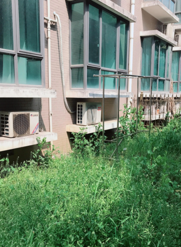 家住一楼2年简直一塌糊涂,现在是悔恨交加:再穷再傻也不要买