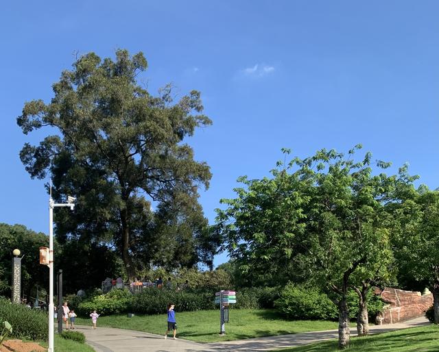 |自古太平将军定,不见将军享太平