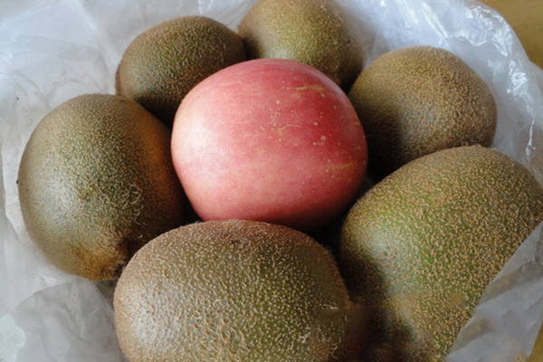 益生菌|猕猴桃的功效与作用 教你如何选购