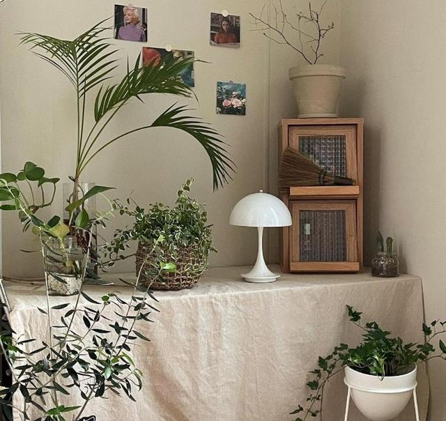 45㎡公寓,装修一切从简,不豪华但温馨感满满,客厅躺着不想走了