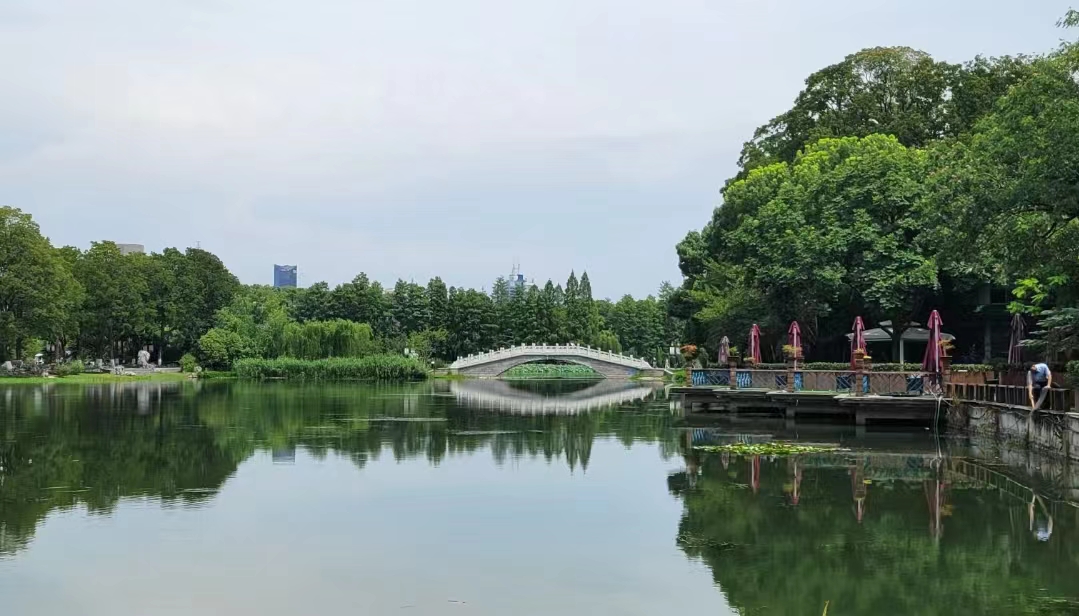 |如何与强势的领导相处？