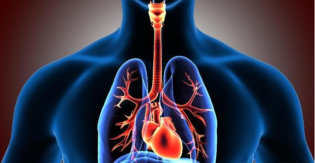 咳嗽|老咳嗽、咽干、痰黄,可能是肺火过旺了!谨记多吃3白,远离3事!