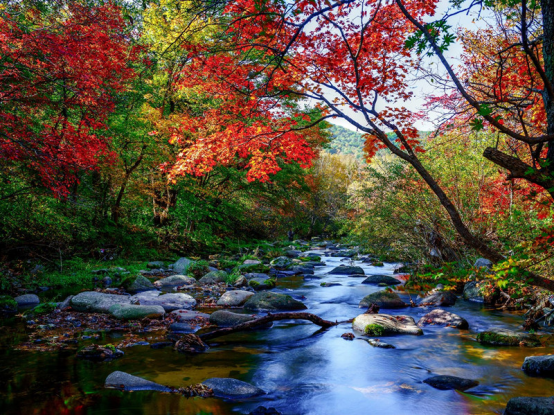 宜昌|红叶纷飞洋湖沟,画家采风好场地,犹如桃花源般的美景