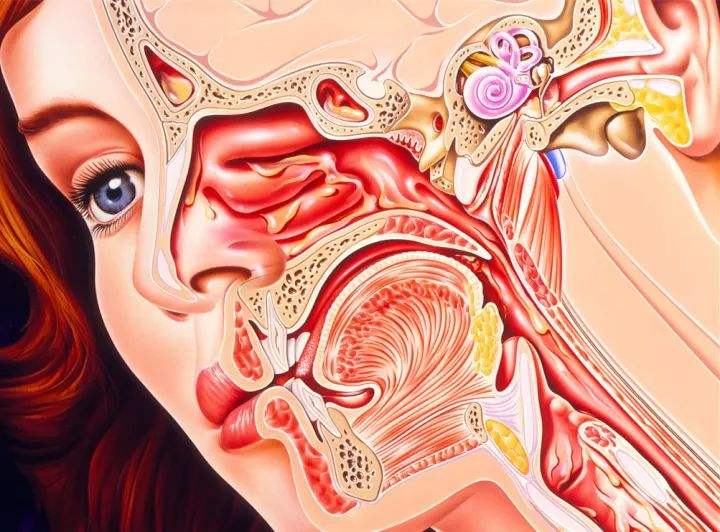 肝癌不要小看喉咙痛很可能是鼻窦炎引起的医生做到这点缓解不适