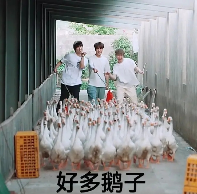 CCTV2|陆虎没惹任何人,却被踢脸!