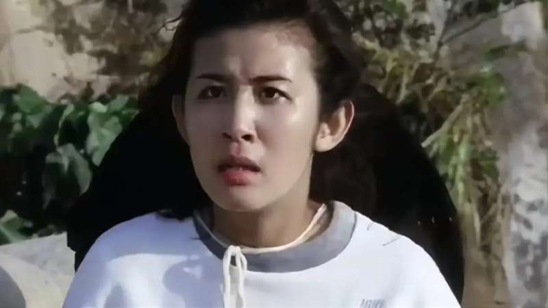 吴君如|吴君如丑人多作怪!