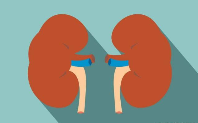 肾病|肾病的终点站是尿毒症，4种食物少吃一些，肾脏会默默感谢你