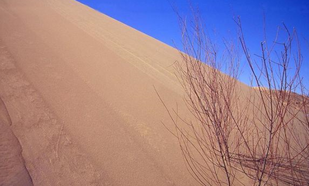 毛乌素沙漠|昔日的中国四大沙漠之一,毛乌素沙漠,一座坚强的沙漠绿洲