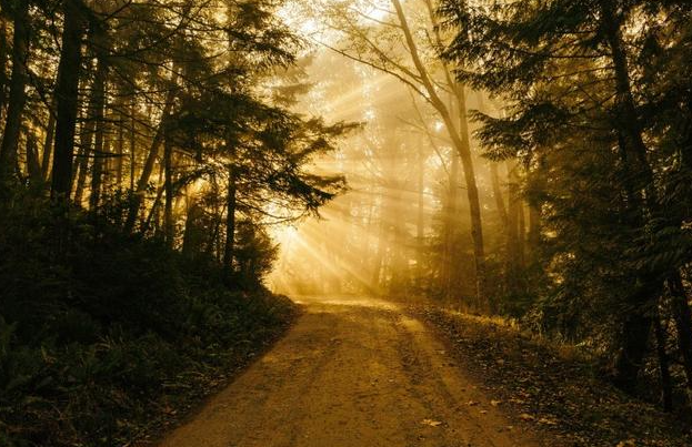 家里有没有装修,完全是由女人自己决定