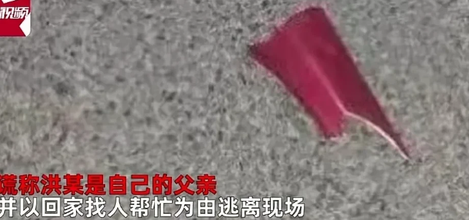 男子开车撞人自称被撞者是父亲,逃逸后被撞者不治身亡!