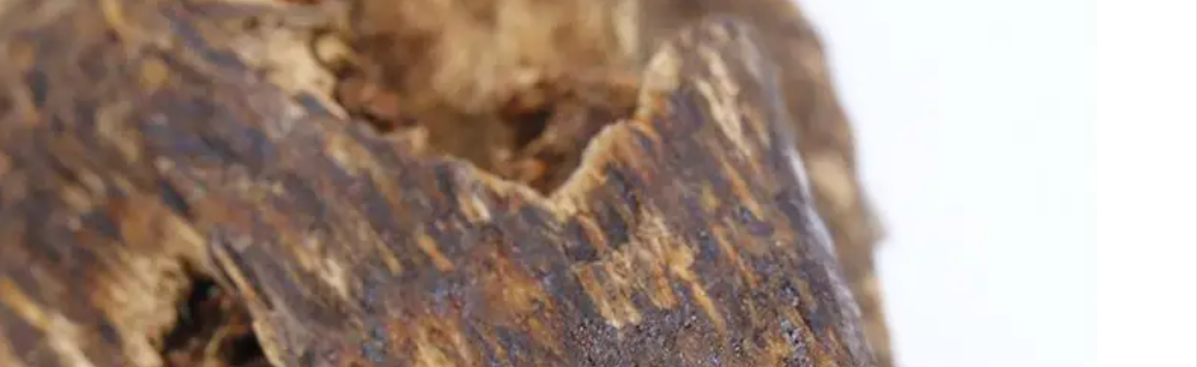 翡翠|沉香蚁沉是什么？收藏价值怎么样？